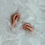 pexels-elizaveta-dushechkina-2099536-3727117